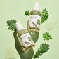 ROUND LAB - Mugwort Calming Serum (50ml)