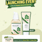ROUND LAB - Mugwort Calming Serum (50ml)